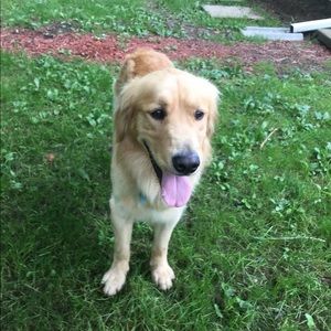 Meet your Posher, Kadyn